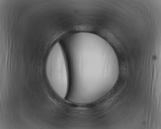 X0000097660255200802290928
