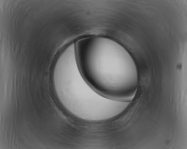 X0000097660256200802290928