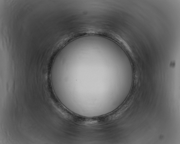 X0000097660257200802290929