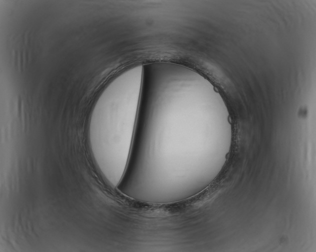 X0000097660258200802290929
