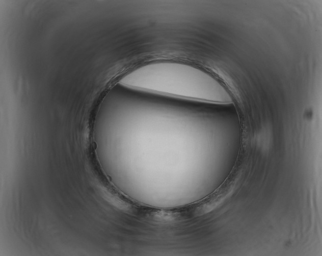 X0000097660261200802290929