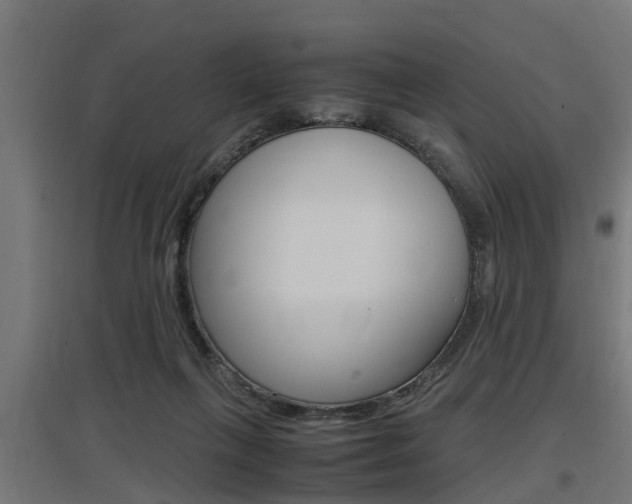 X0000097660263200802290929
