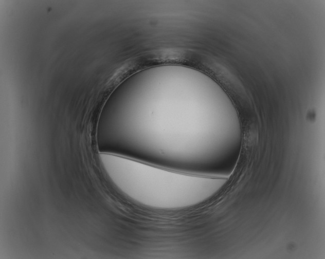 X0000097660264200802290929