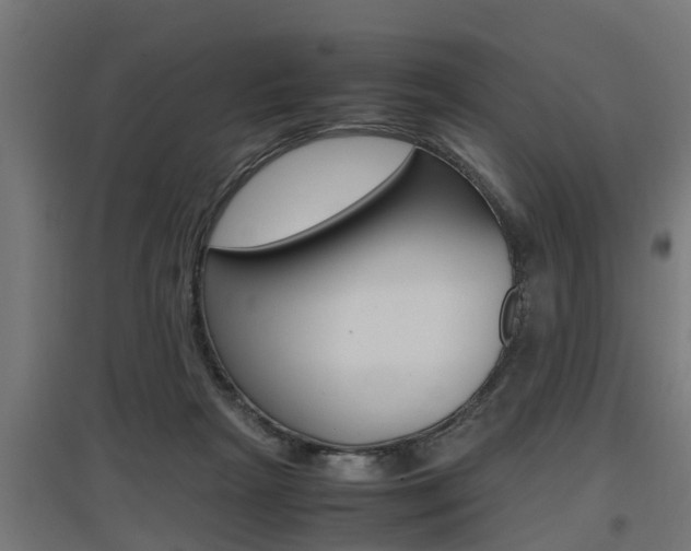 X0000097660265200802290929