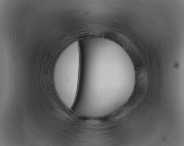 X0000097660266200802290929