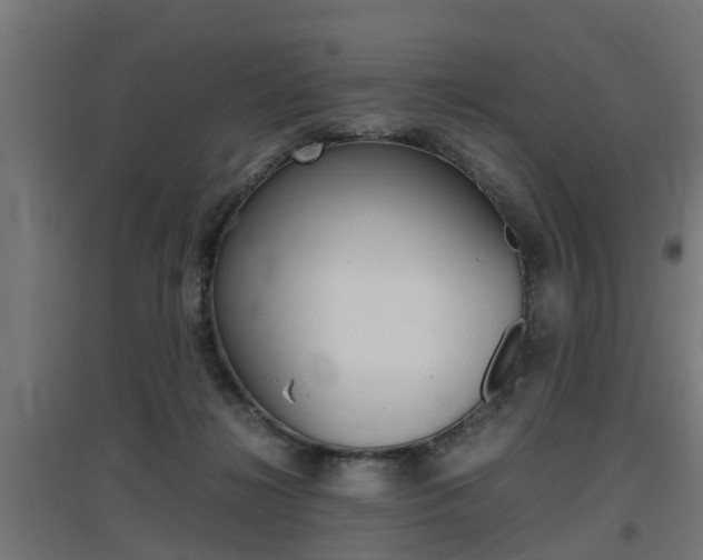 X0000097660268200802290929