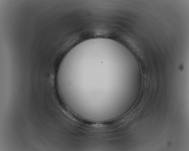 X0000097660269200802290929
