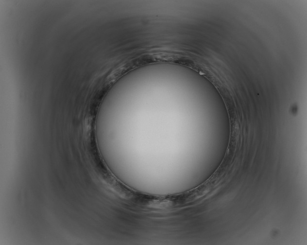 X0000097660271200802290929