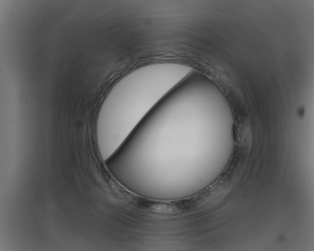 X0000097660272200802290929