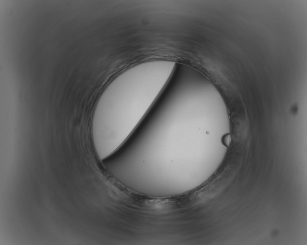 X0000097660273200802290929