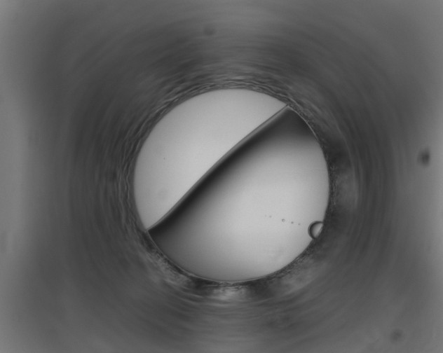 X0000097660274200802290929