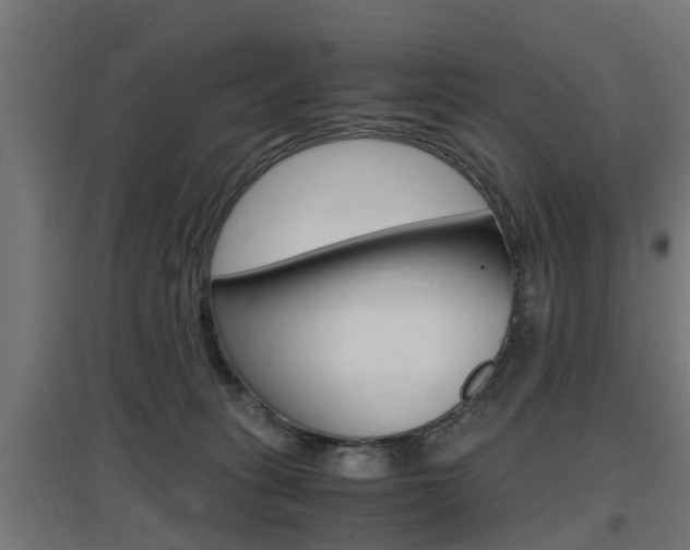 X0000097660275200802290929