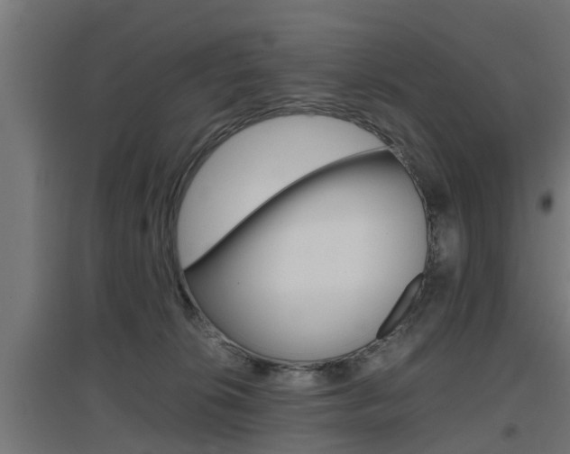 X0000097660276200802290929