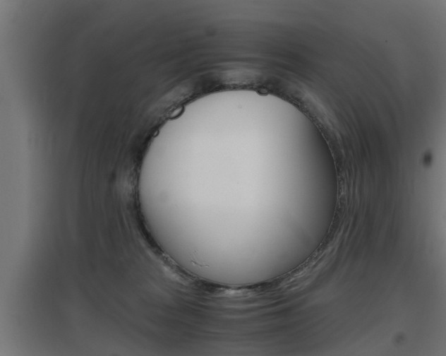 X0000097660277200802290929