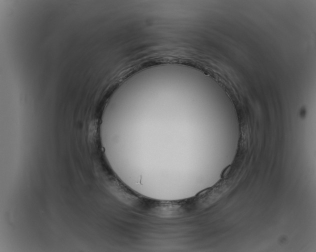 X0000097660278200802290929