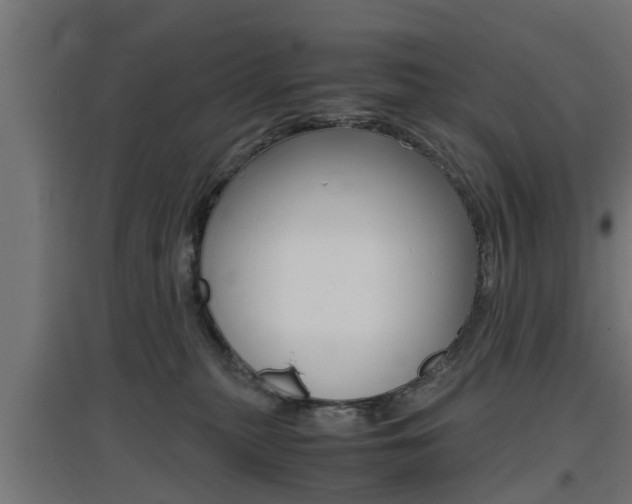 X0000097660279200802290929