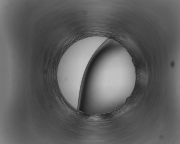 X0000097660280200802290929