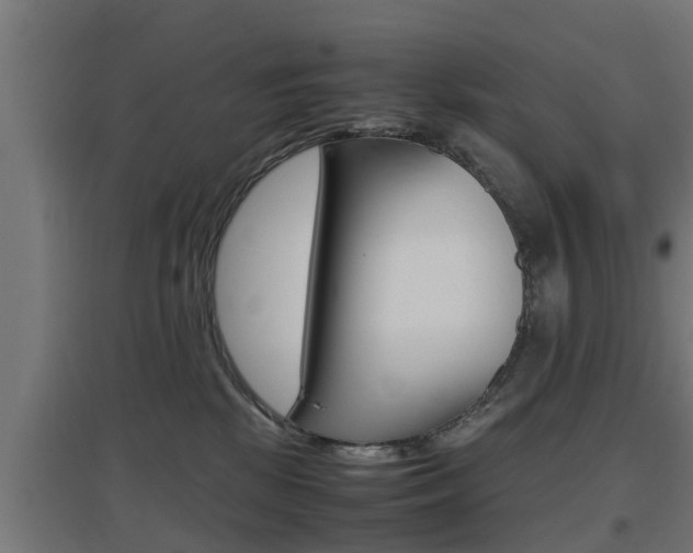 X0000097660281200802290929