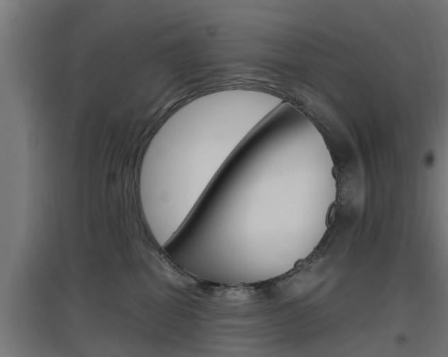 X0000097660282200802290929