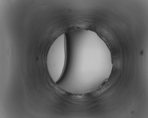 X0000097660285200802290929