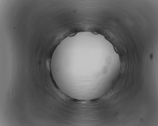X0000097660286200802290929