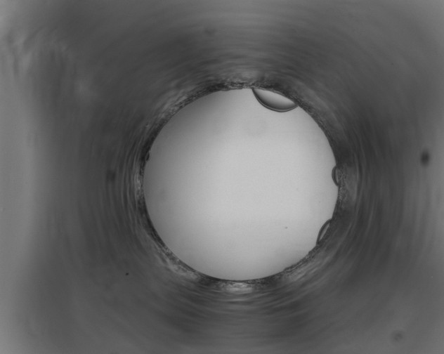X0000097660287200802290929