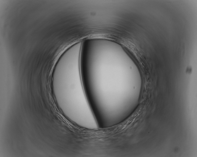 X0000097660289200802290928
