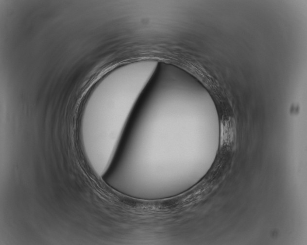 X0000097660291200802290928
