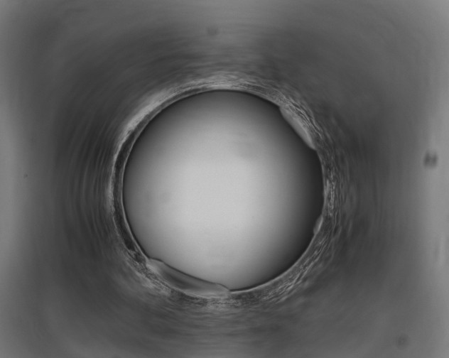X0000097660292200802290928