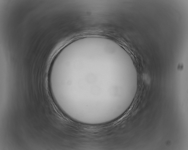 X0000097660293200802290928