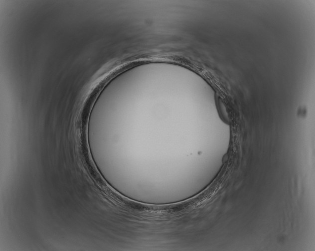 X0000097660295200802290928