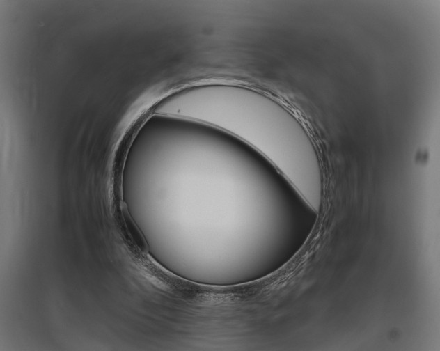 X0000097660296200802290928