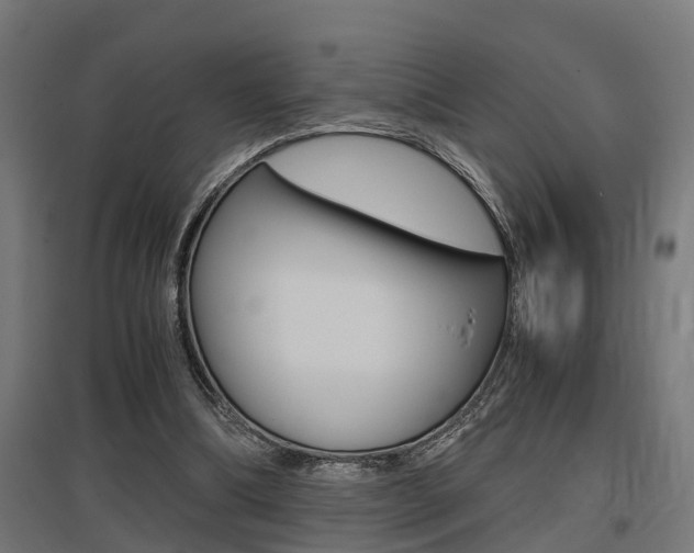 X0000097660298200802290928