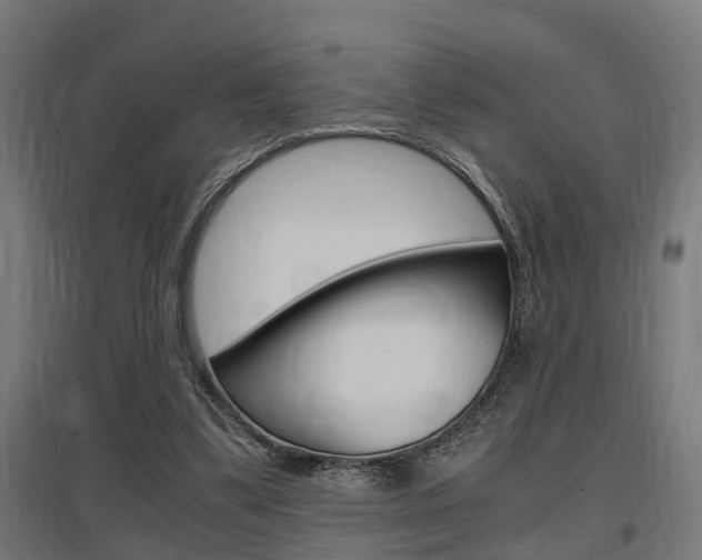 X0000097660299200802290928