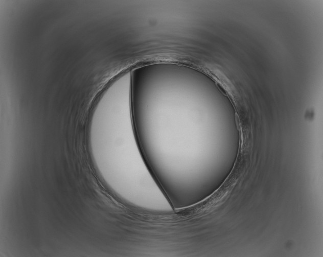 X0000097660301200802290928