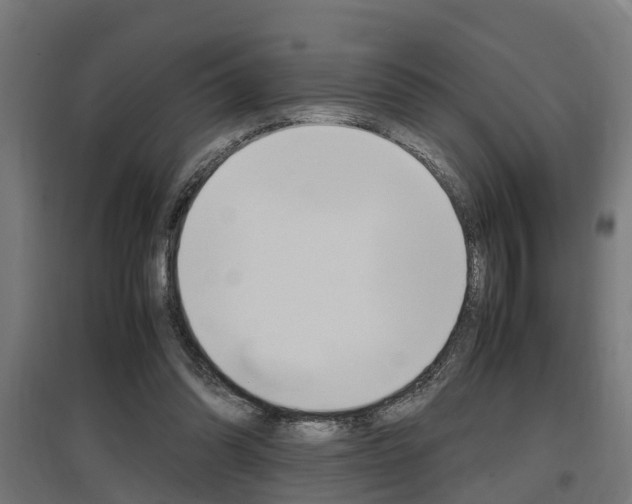 X0000097660302200802290928