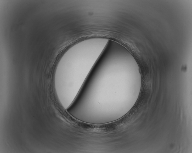 X0000097660303200802290928