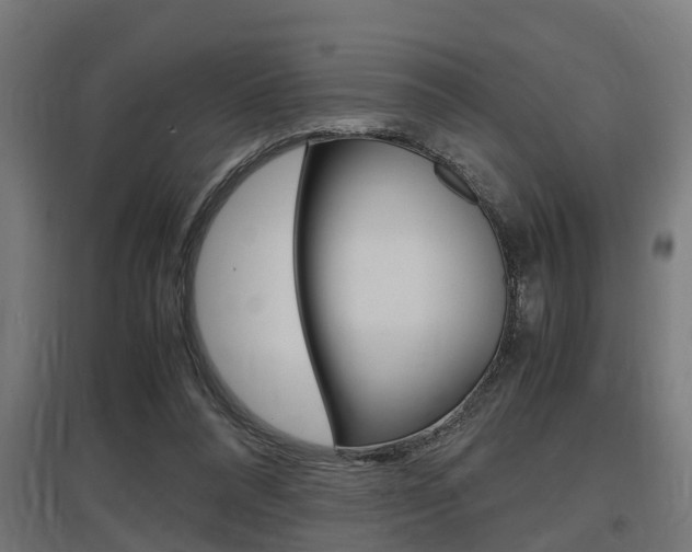 X0000097660304200802290928