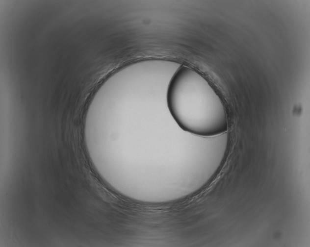 X0000097660305200802290928