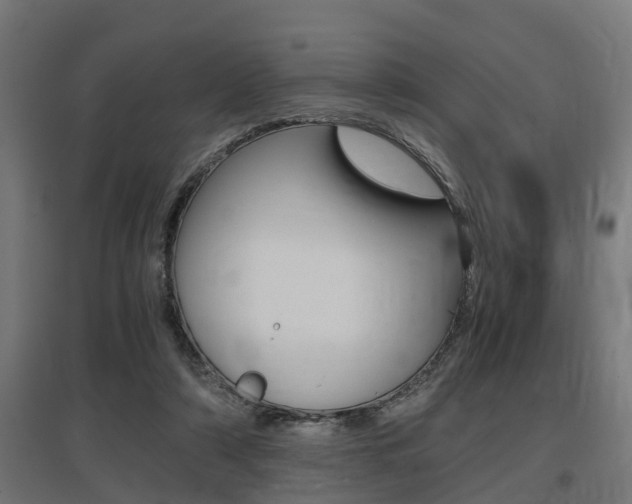 X0000097660306200802290928