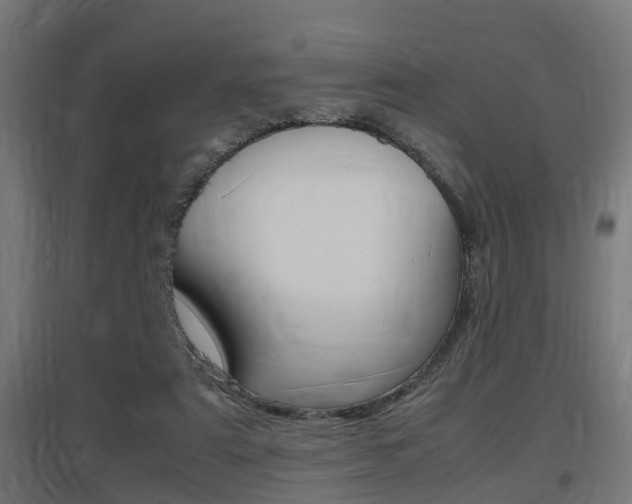 X0000097660307200802290928