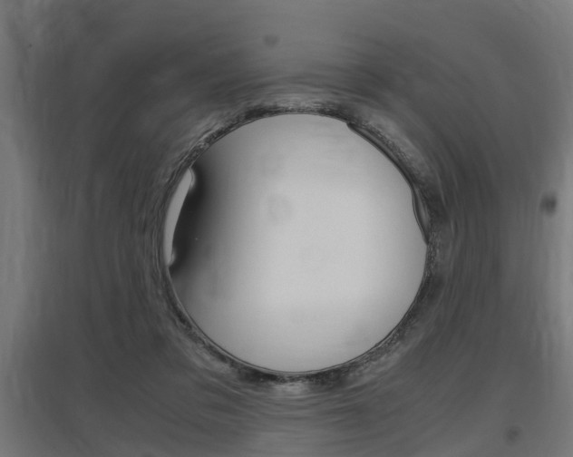 X0000097660309200802290928