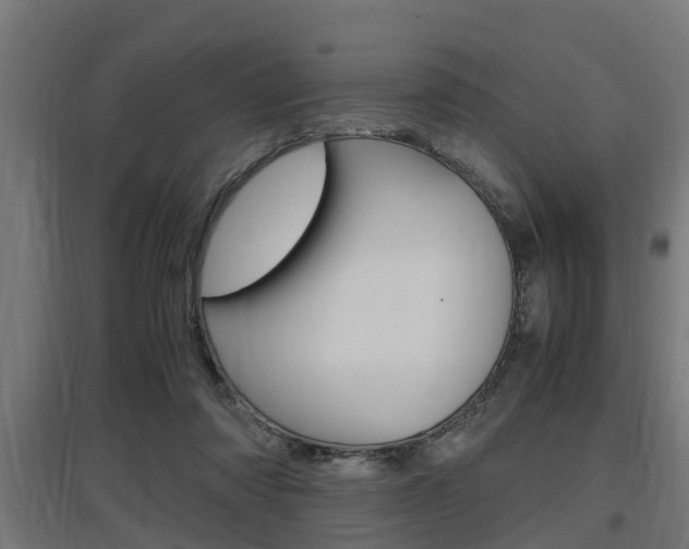 X0000097660310200802290928