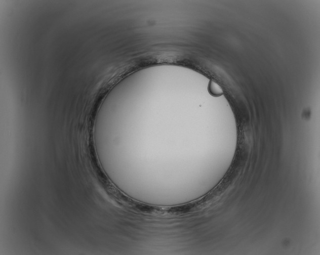 X0000097660311200802290928