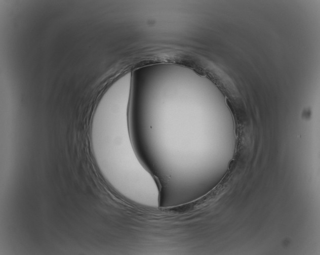 X0000097660313200802290928