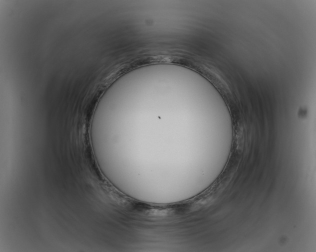 X0000097660314200802290928
