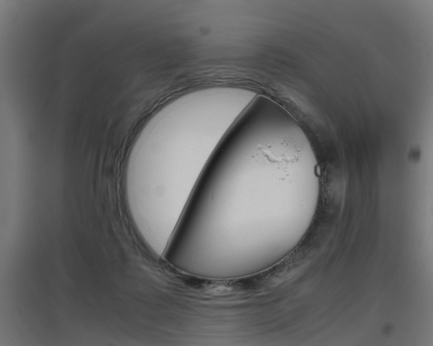 X0000097660315200802290928