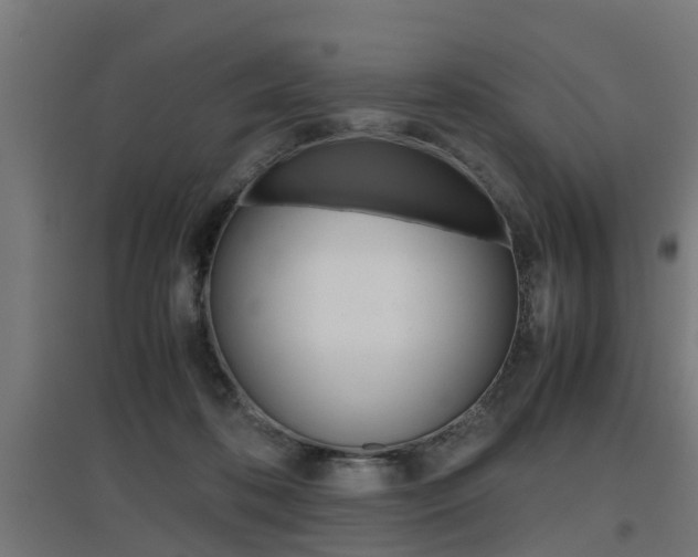 X0000097660316200802290928