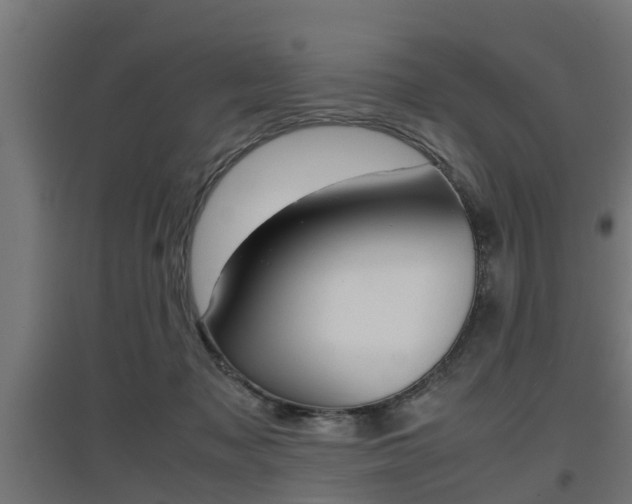 X0000097660317200802290928