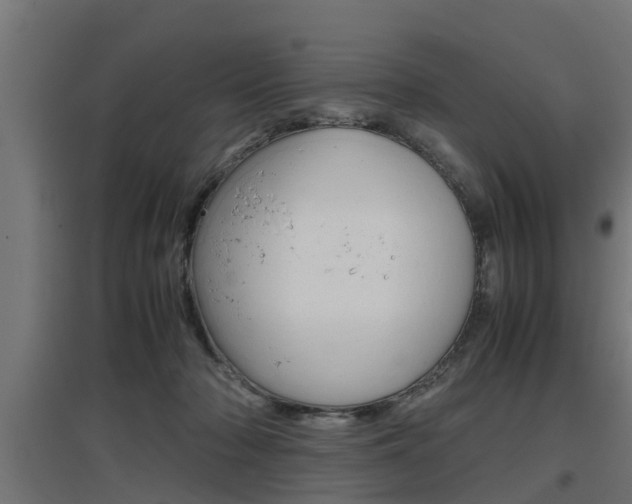 X0000097660318200802290928